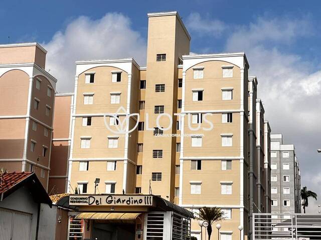 Venda em Água Branca - Piracicaba
